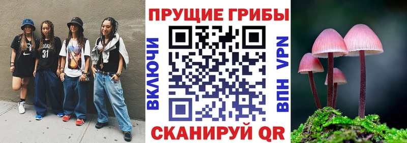 Галлюциногенные грибы MAGIC MUSHROOMS  kraken как зайти  Макарьев 